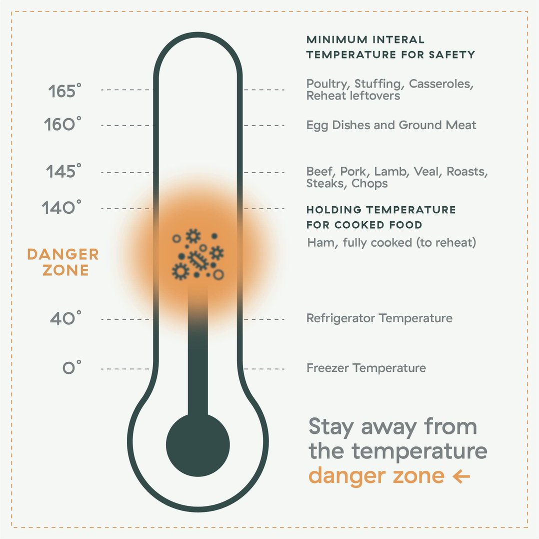 What Is Temperature Danger Zone? Don'T Risk Your Health   Know These Facts. - lclc9om