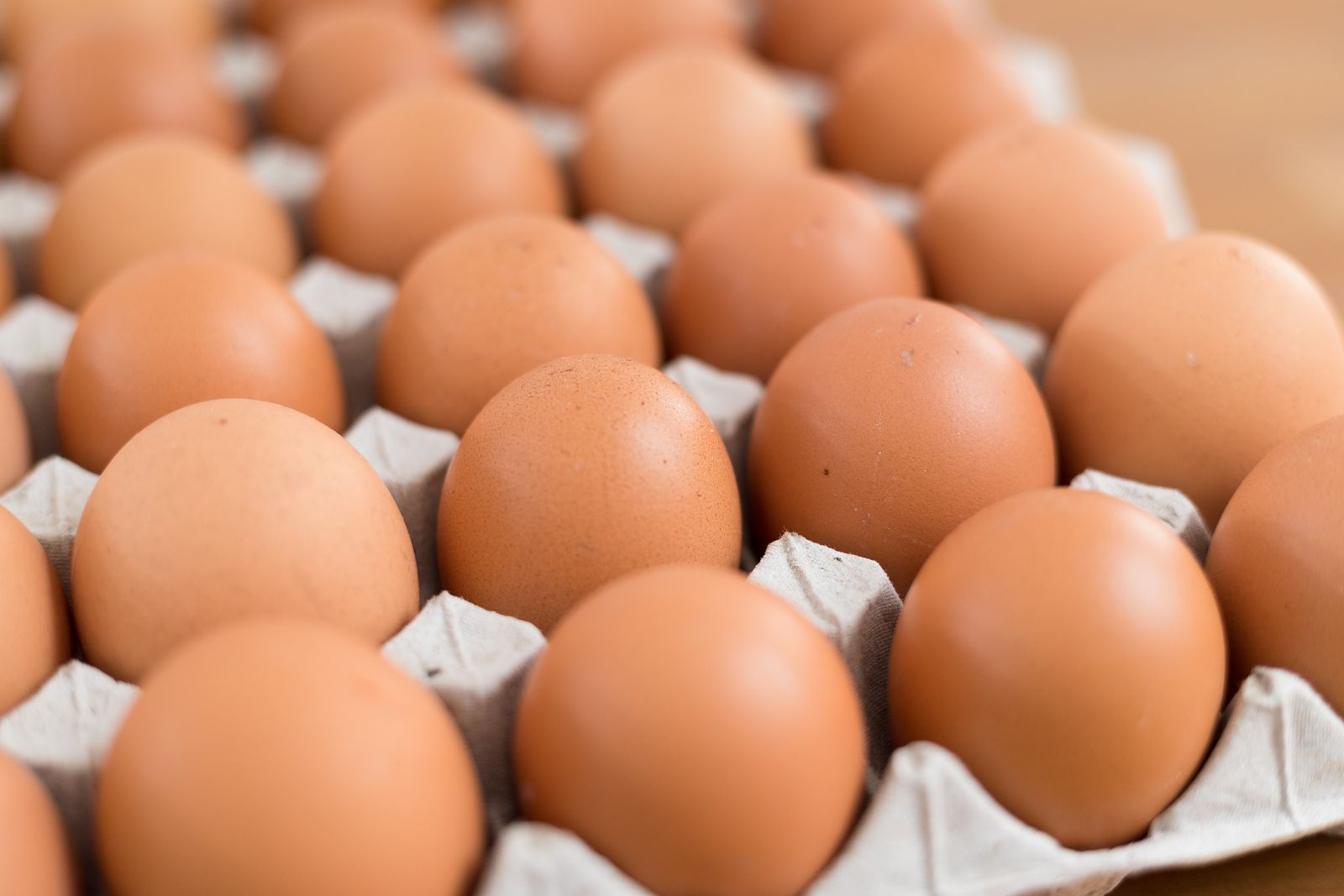 A Guide to Egg Allergies for the Food Industry
